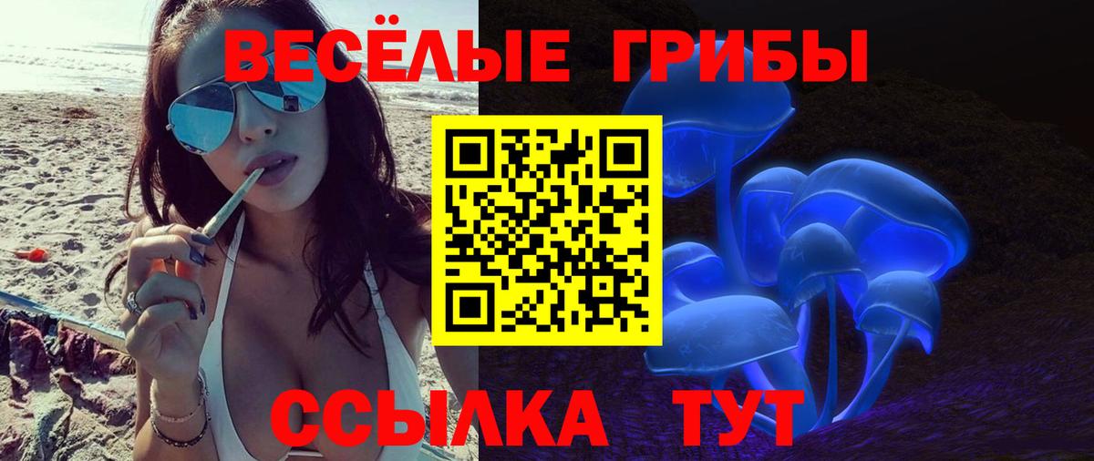 Псилоцибиновые грибы мухоморы  купить  цена  Кемерово  Псилоцибиновые грибы ЛСД  Вход с VPN 