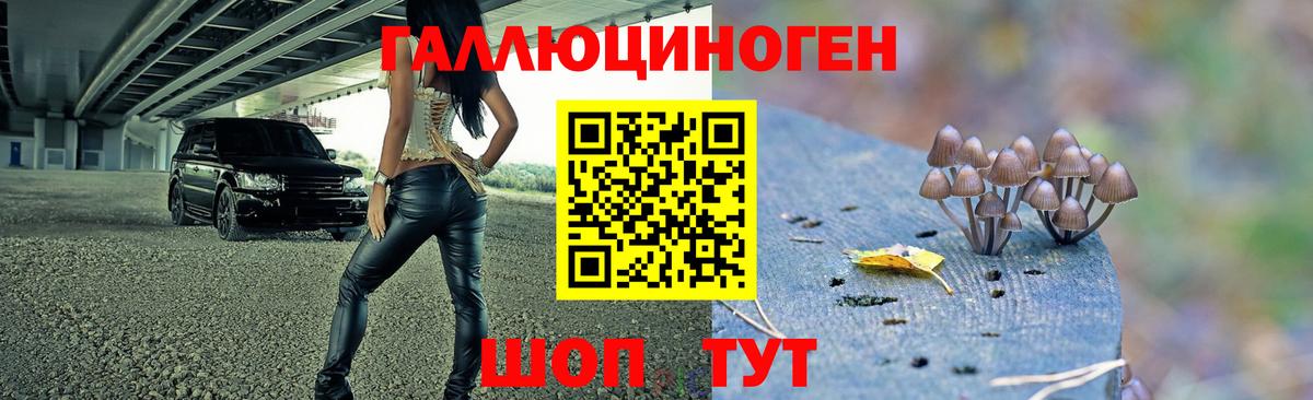 Галлюциногенные грибы Magic Shrooms Кемерово